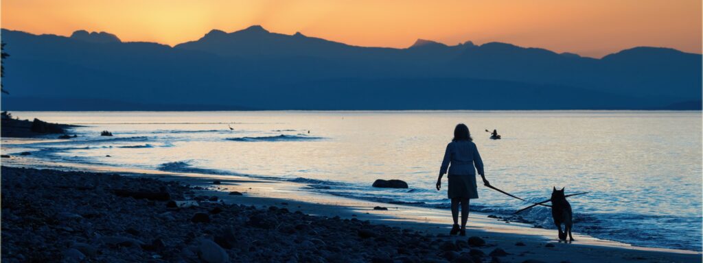 A person walking a dog along a rocky shore at twilight, in silhouette